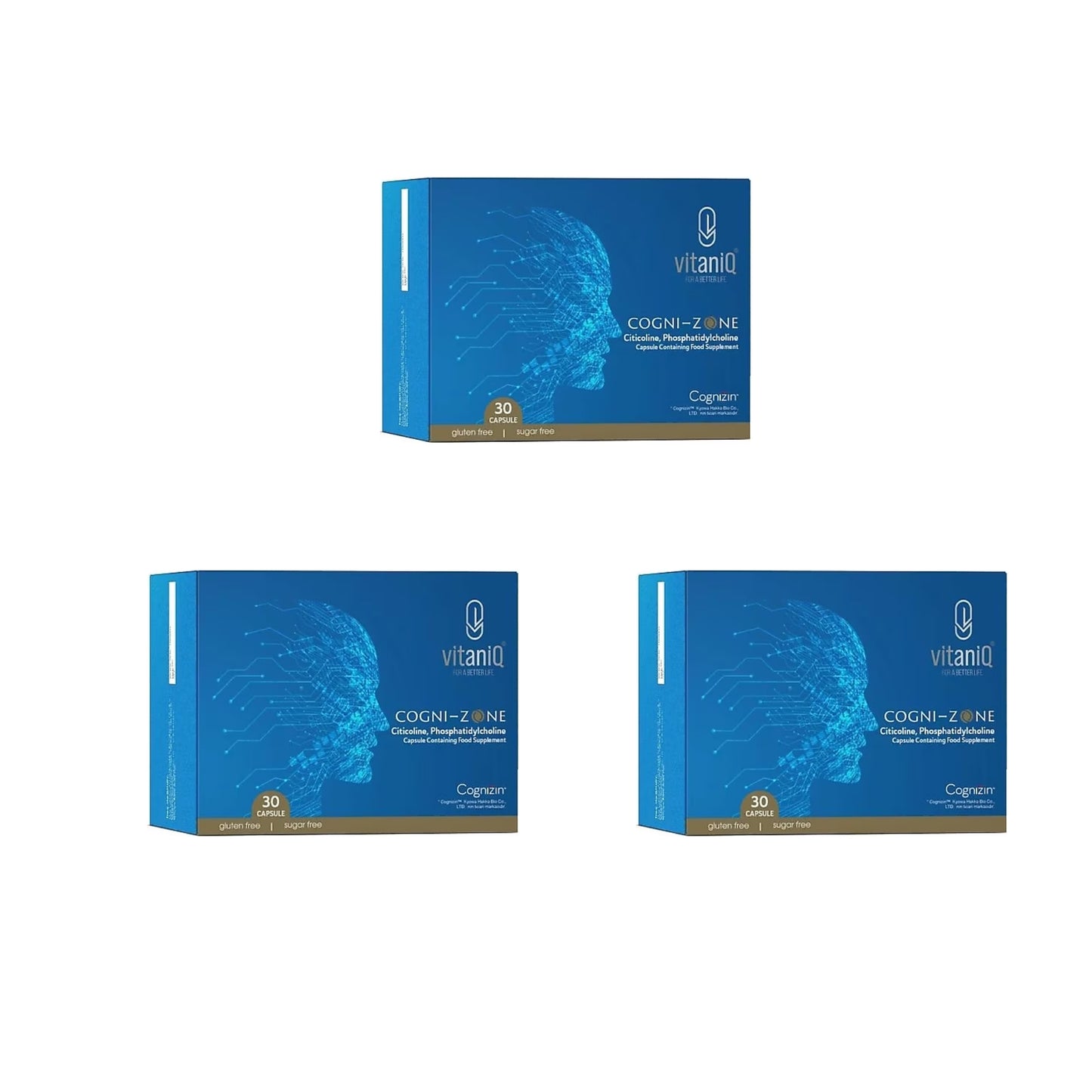 VitaniQ Cognizone Kapsül-Nörolojik Destek Formülü, Sitikolin, Fosfatidilkolin & Asetil-L-Karnitin